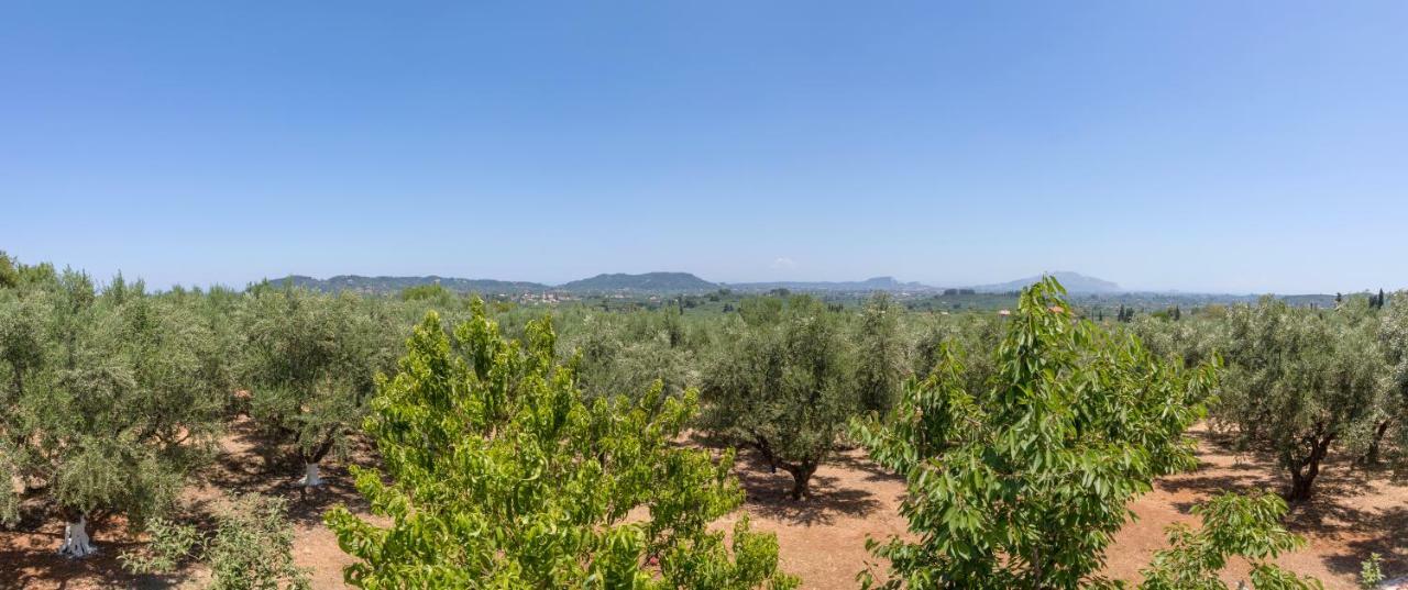 Villa Serenity Agia Marina  Dış mekan fotoğraf