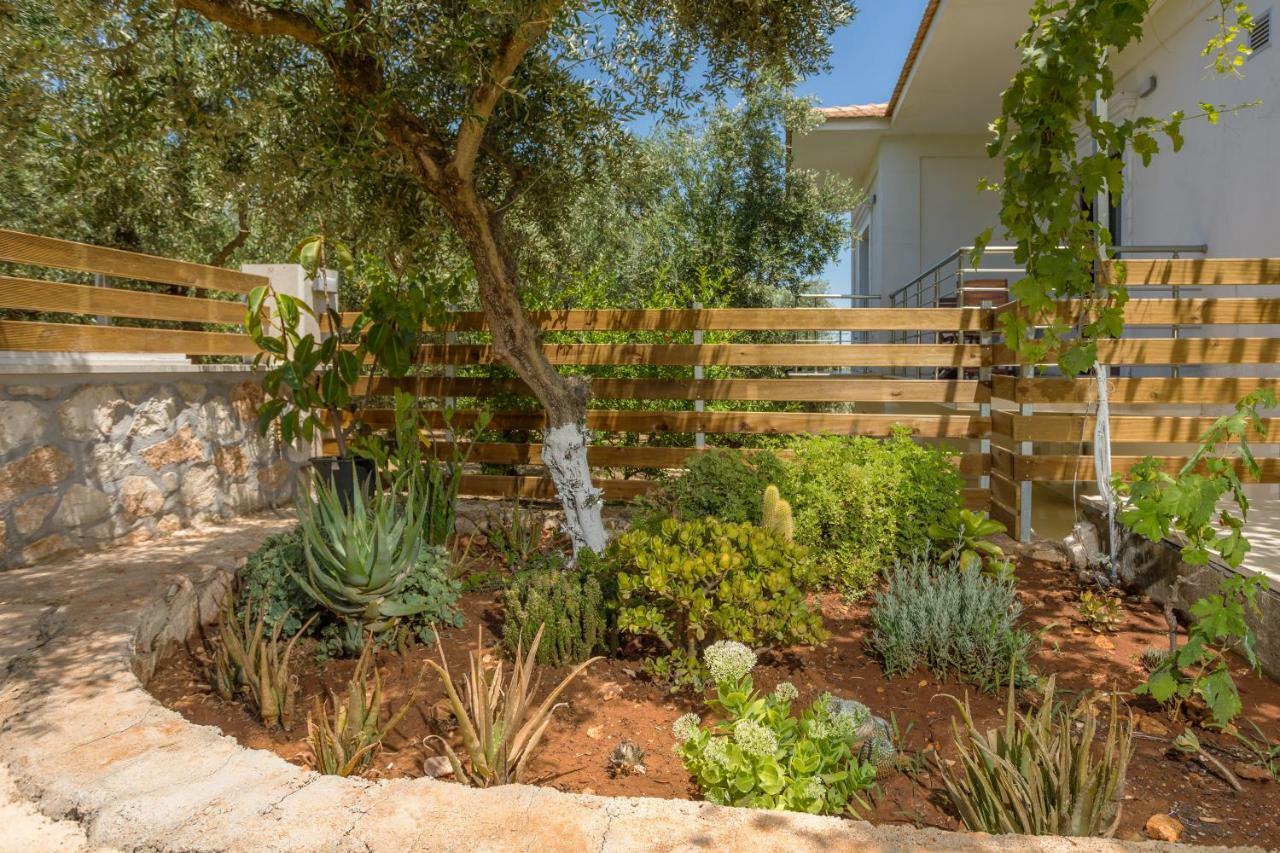 Villa Serenity Agia Marina  Dış mekan fotoğraf